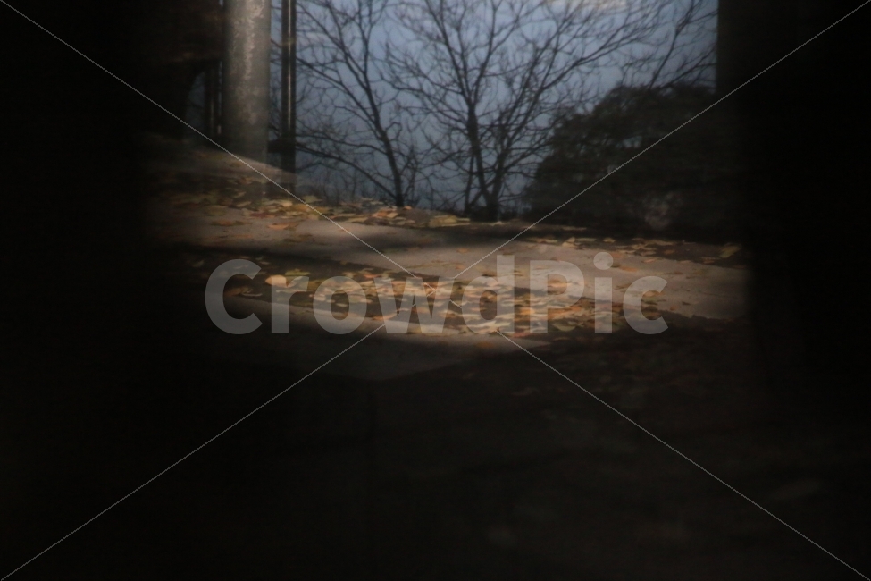 가을,풍경,나뭇잎,사진,카메라,자연,미러볼,캐논,나무,가을,계절,fall,autumn,season,light,빛,flare,플레어