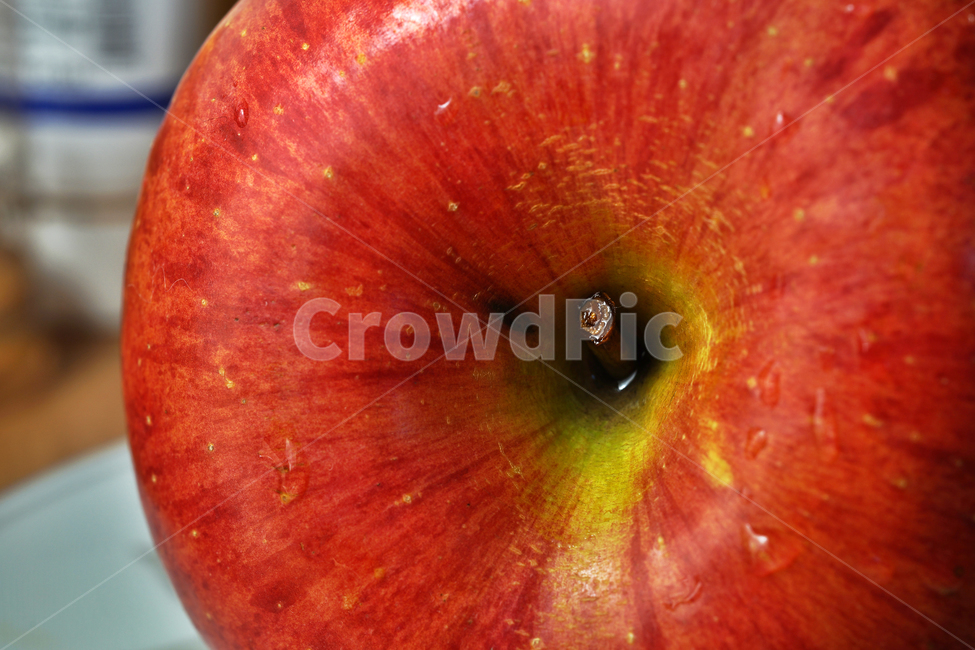 사과,과일,열매,식물,apple,fruit,음식,부사,빨간사과,음식,식재료,요리,food,cook,meal,dishes,food reserves,과일,열매,fruit
