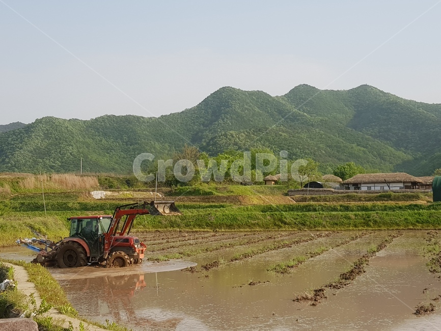 안동,하회마을,초가집,산,시골,nature,자연,outdoors,옥외,들,field,koreantraditional,koreanculture,시골,마을,풍경,landscape,country,rural,town,한국전통,한국문화,korean traditional,korean culture