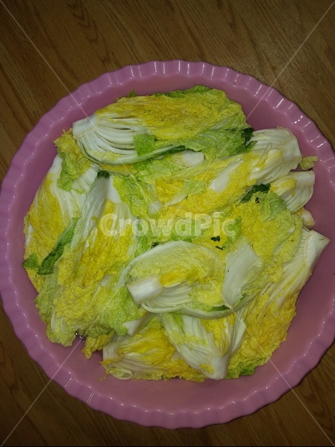 배추,절임배츄,프라스틱다라이,김치,소금물,음식,식재료,요리,food,cook,meal,dishes,food reserves,채소,야채,vegetables