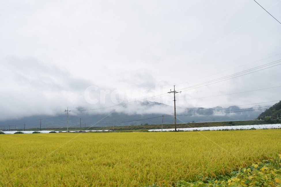들판,비닐하우스,산,시골,자연,시골,마을,풍경,landscape,country,rural,town