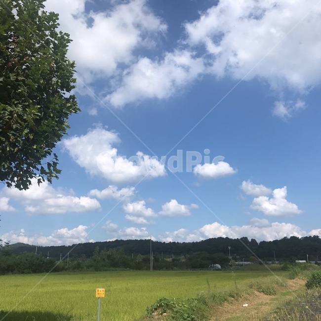 nature,자연,grassland,outdoors,가을,자연,풍경,nature,landscape,목초지,field,들,옥외
