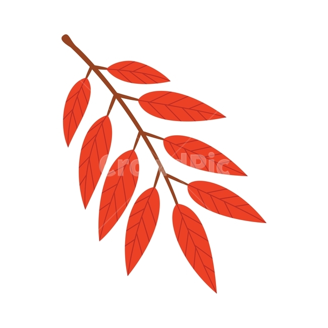 가을,나뭇잎,낙엽,자연,계절,나뭇가지,빨강,autumn,fall,design,leaf,plant,season,식물,illustration,그래픽,잎,디자인,leaves,일러스트,일러스트레이션,graphic,식물,자연,plants,nature,그래픽,일러스트레이션,graphic,illustration