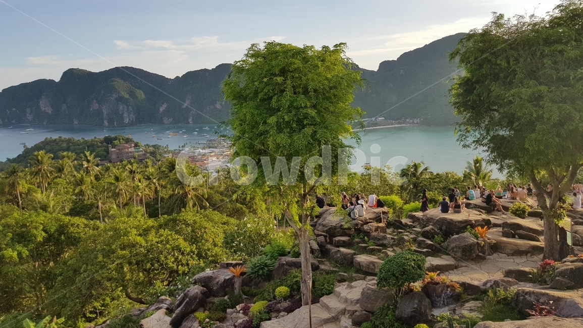 나무,산,배경,숲,자연,풍경,동남아,태국,피피섬,등산,뷰포인트,바다,해수욕장,감성