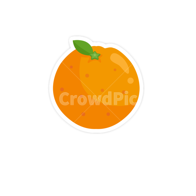 오렌지,plant,식물,fruit,과일,food,음식,citrusfruit,감귤류과일,그래픽,일러스트레이션,graphic,illustration