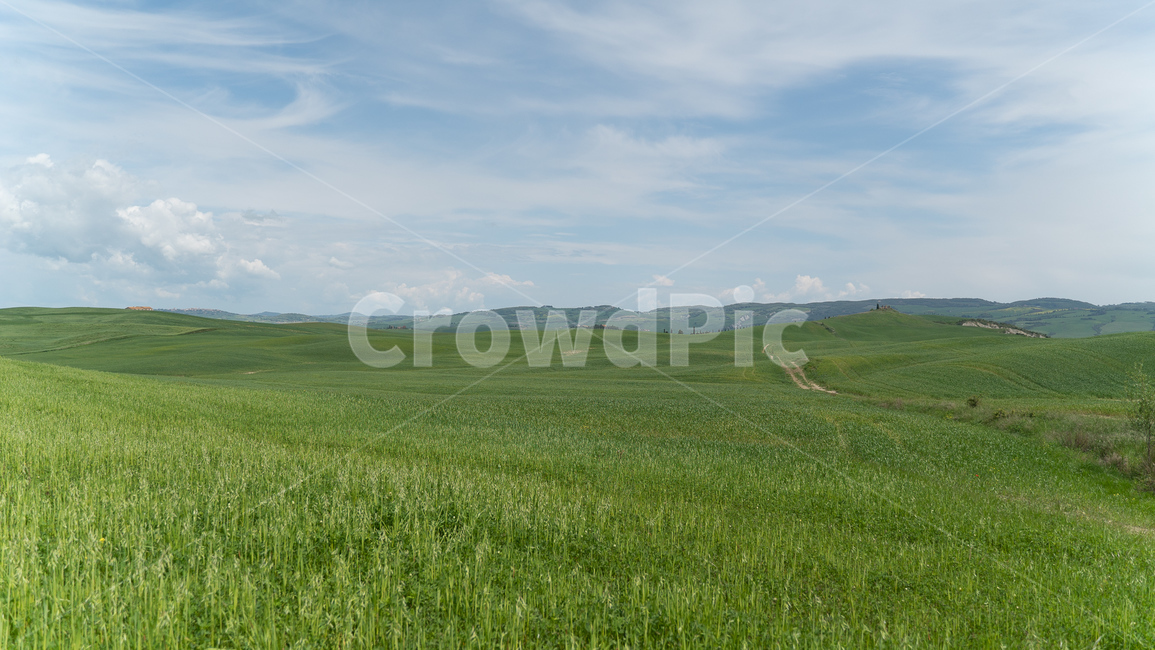 토스카나,자연,발도르차,투스카니,소도시,외국자연풍경,해외자연풍경,nature,봄,시골,이탈리아,초록,나무,숲,초원