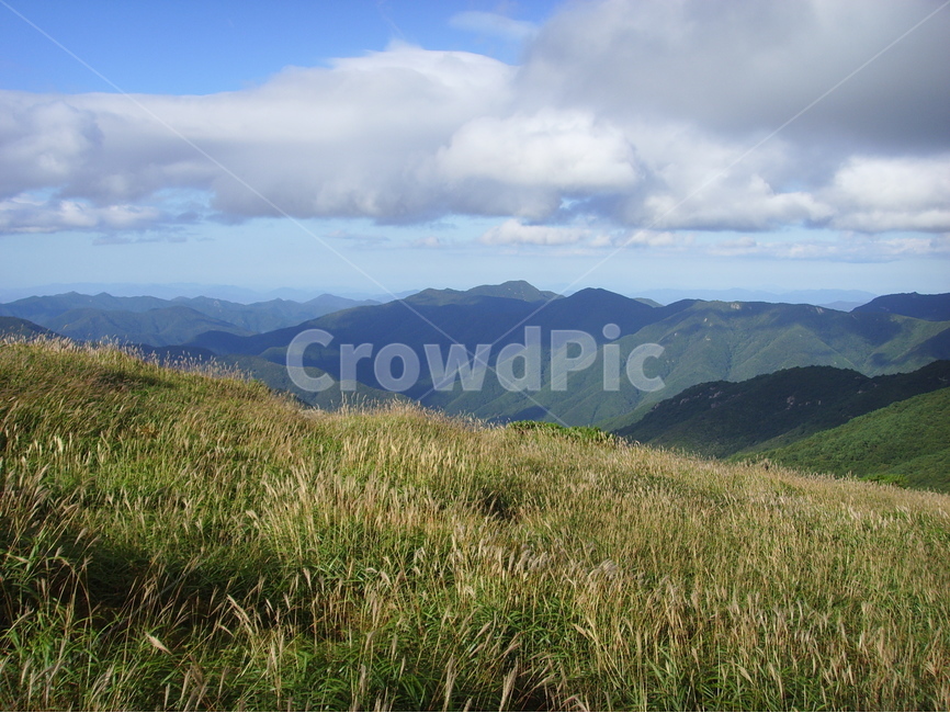 산,가을,가을산,영남알프스,갈대,신불산,영축산,가지산,구름,파란하늘,청명한하늘,자연,풍경,nature,landscape,한국자연풍경,한국자연경관,korea nature landscape,outdoors,옥외,hill,언덕
