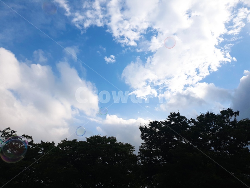 가을하늘,하늘,구름,자연,sky,자연,풍경,nature,landscape