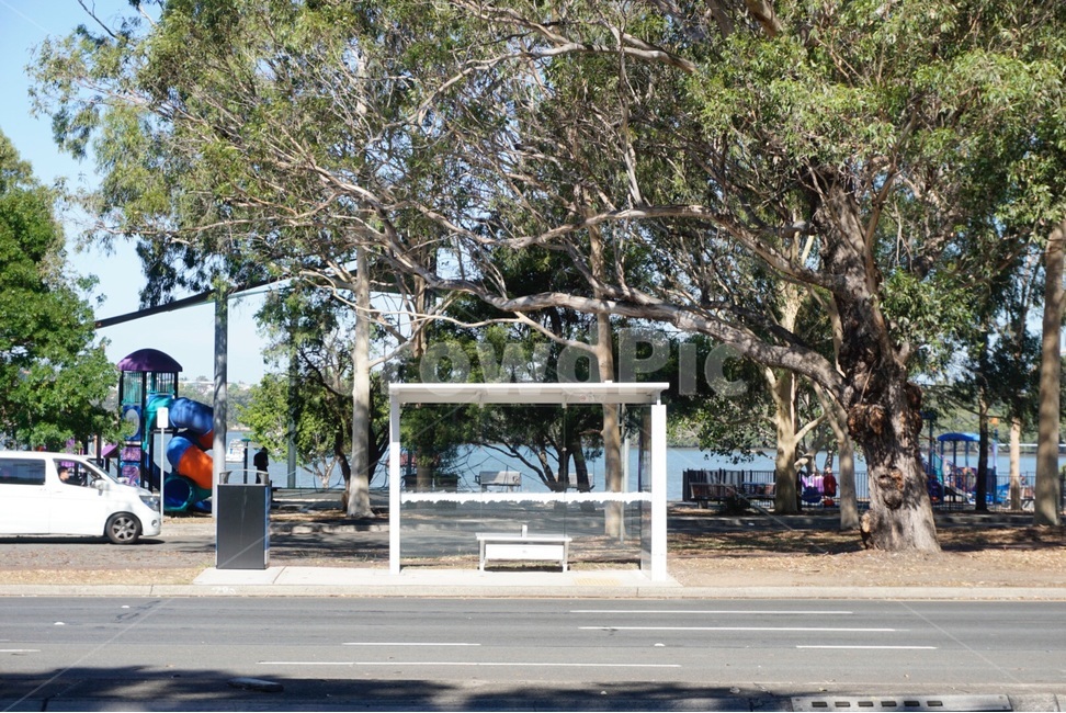 호주,자연,햇살,australia,nature,sunbeam,시드니,sydney,정류장,Station,교통,교통수단,traffic,transportation,bus stop,버스 정류장,automobile,자동차,vehicle,차량,car,차