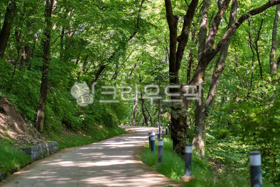 path, 길, nature, 자연, outdoors, 사진,이미지,일러스트,캘리그라피 - 헝그리작가작가