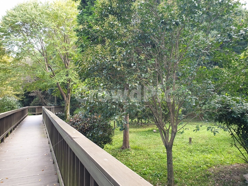 railing,handrail,난간,banister,bridge,다리,building,건물,path,통로,가좌산,산책로,가좌산산책,자연,나무