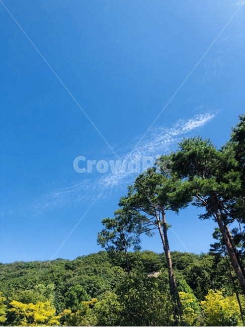 가을하늘,푸른하늘,하늘,경치,맑은하늘,자연,옥외,nature,outdoors,자연,풍경,nature,landscape