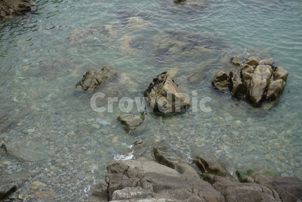 바다,돌,자갈,물,푸른바다,자연,풍경,nature,landscape,animal,동물,sea life,해양 생물,turtle,터틀,rock,록