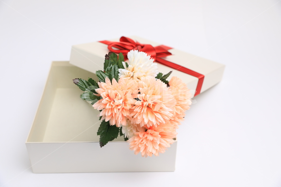 상자,선물상자,꽃,조화,기념일,생일,기프트,아름다운,리본,꽃,flower,기념일,축하,anniversary,congratulation,celebrate,celebration,사물,물건,오브젝트,thing,object,matter,누끼,remove background