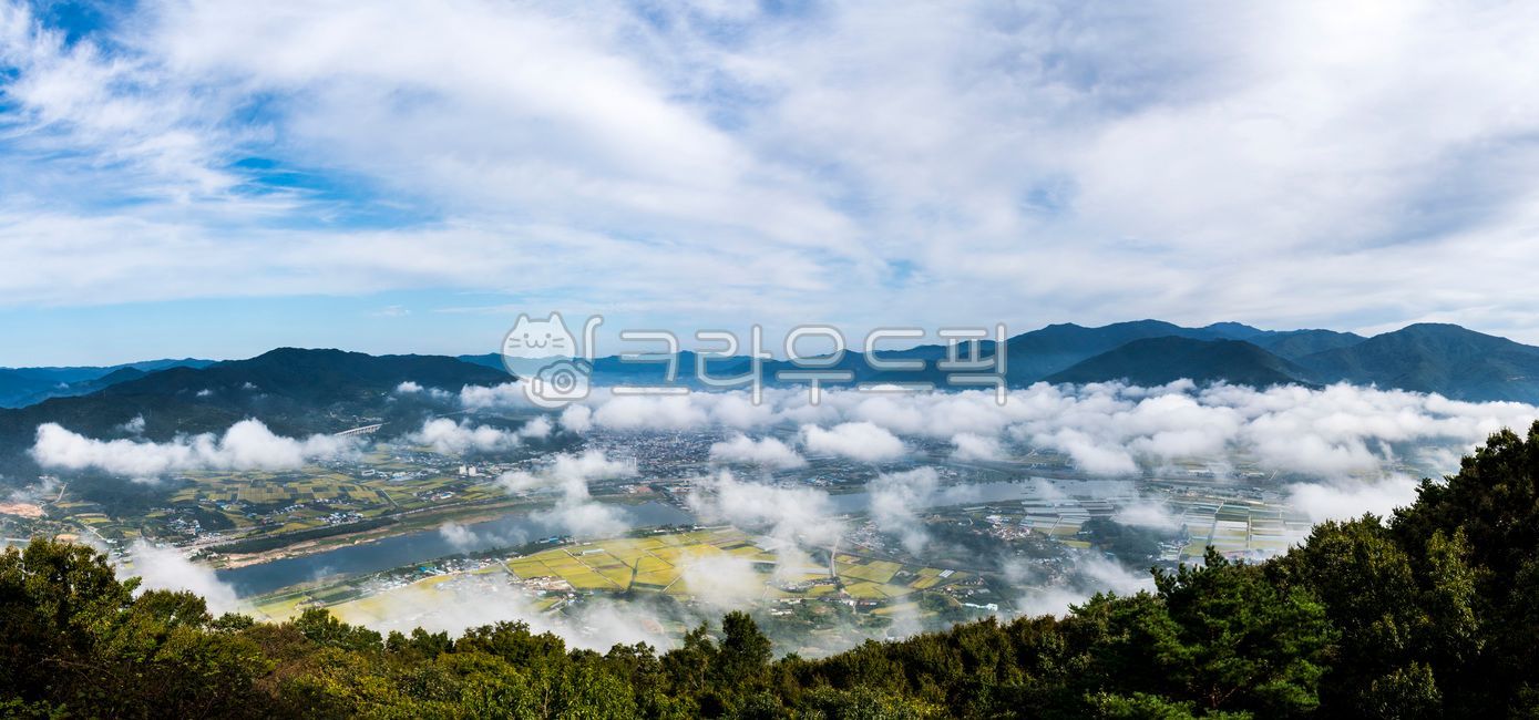 자연,파노라마,운해,안개,물안개,들판,들,들녘,황금들녘,황금들판,강,섬진강,구례