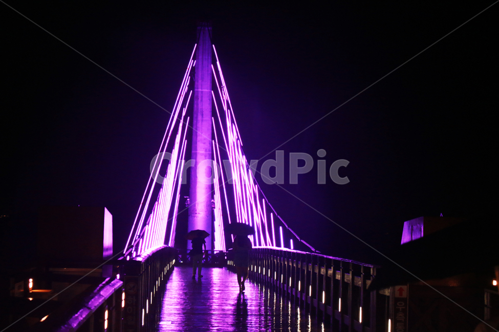 building,건물,landmark,군산,테마공원,공원,lighting,비,호수,다리,bridge,물,그림자,반사,밤,호수공원,은파호수공원,야경