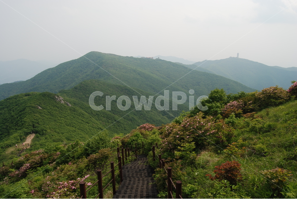 소백산,희방폭포,비로봉,연화봉,희방사,등산로,자연의위대함,능선,아름다움,신비스런산,돌,산행,힐링,자연,감성,등산,계절,여행,한국,한국명산,한국등산,풍경,눈,나무,하늘,바람,바람소리,환경,생태계,산,땅,자연,풍경,nature,landscape,한국자연풍경,한국자연경관,korea nature landscape,outdoors,옥외,hill,언덕