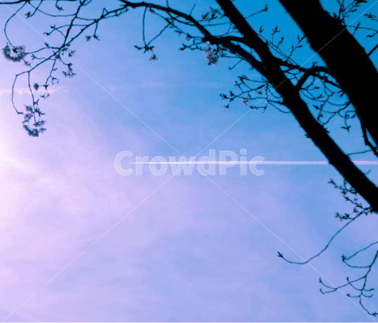 하늘,구름,sky,cloud,비행운,풍경,색깔,색상,색채,색감,color sense,color sensitivity,feeling of color