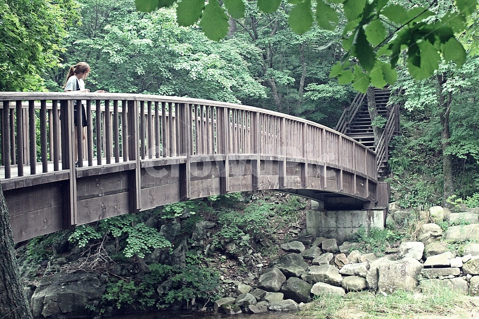 다리,숲속,나무다리,소녀,숲,사람,인물,인간,human,person,여성,여자,woman,female,lady