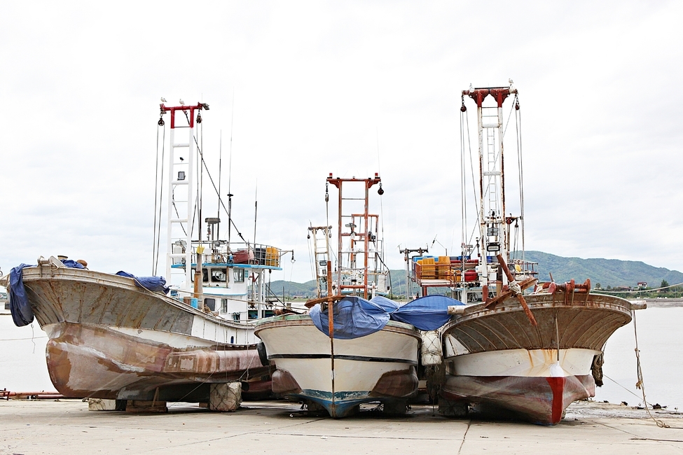 배,선박,태풍대비,어선,고기잡이,산업,industry,industrial,어업,fishery,fishing industry
