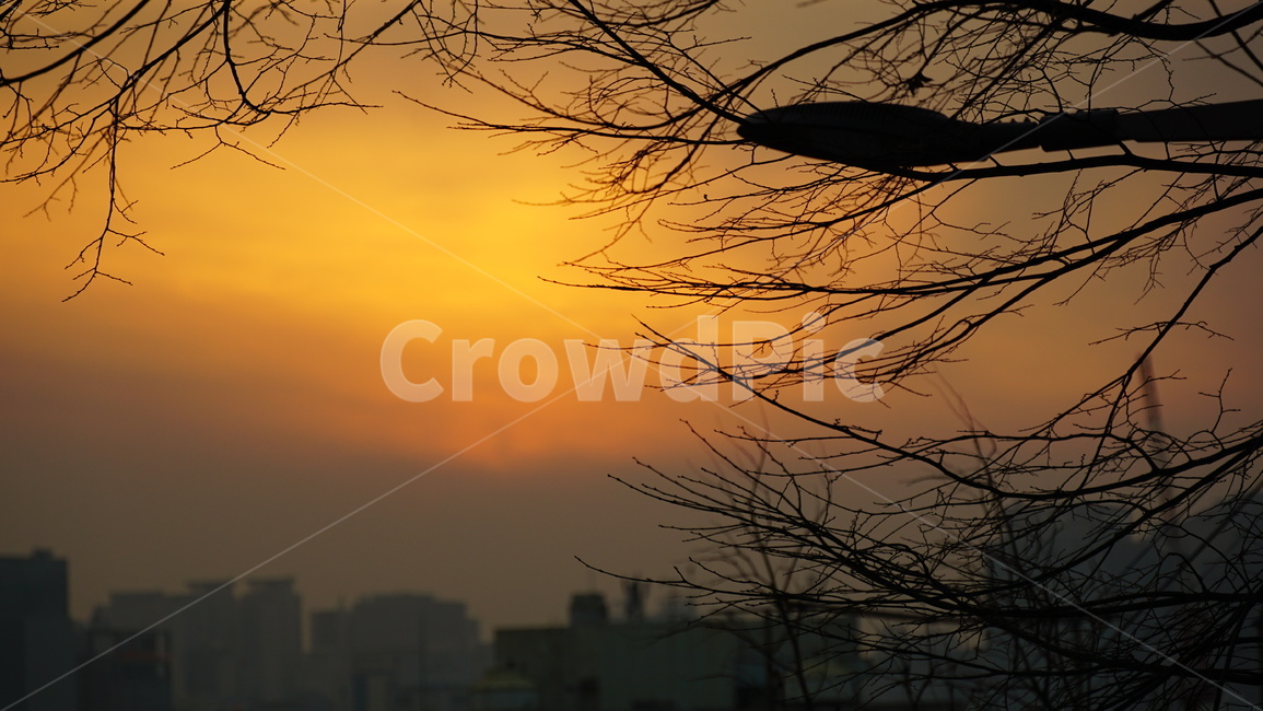 노을,가로등,하늘,도시,겨울,sunset,cityscape,season,붉은노을,자연,풍경,nature,landscape,outdoors,옥외