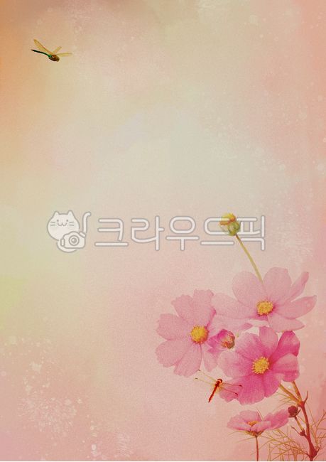 dragonfly,petal,Background,flower illustration,cosmos illustration,cosmos,fall background illustration,flower