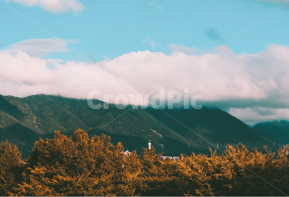 산,구름,자연,숲,아름다움,cloudy,나무,tree,mountain,하늘,sky,blue,파란,가을,계절,fall,autumn,season,자연,풍경,nature,landscape,한국자연풍경,한국자연경관,korea nature landscape,색깔,색상,색채,색감,color sense,color sensitivity,feeling of color,mountain range,산맥,outdoors,옥외