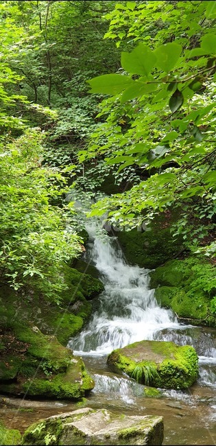 폭포,시원함,계곡,숲속,옹달샘,자연,풍경,nature,landscape,water,물,outdoors,옥외,river,강,waterfall