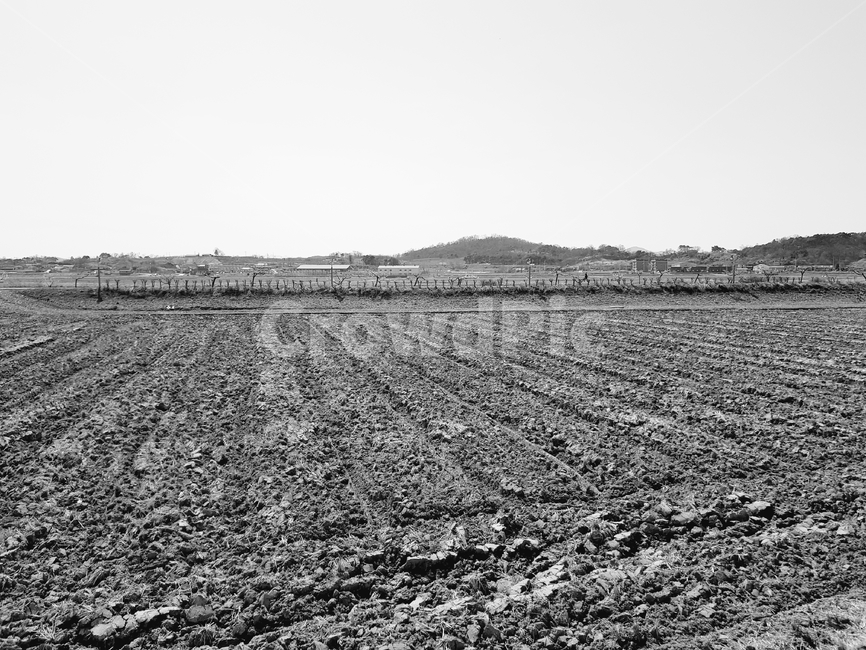 흑백밭,흙밭,흑백,토지,황야,시골,마을,풍경,landscape,country,rural,town,흑백,모노톤,monochrome,black and white
