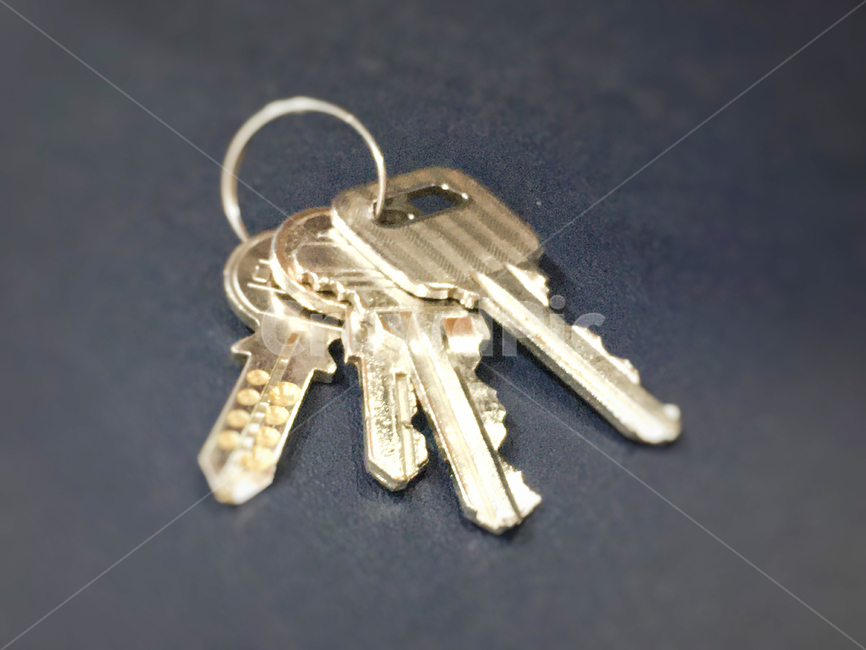 키,열쇠,열쇠뭉치,열쇠고리,체인,key,keyring,생활