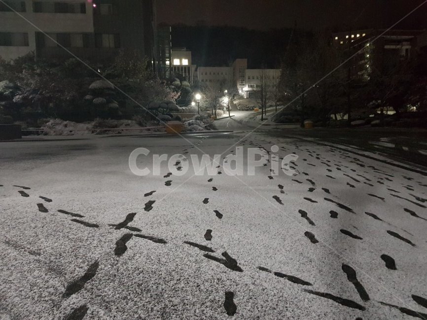 nature,자연,눈,발자국,눈자국,눈발자국,캠퍼스,snow,분위기,밤,저녁,고요,적막