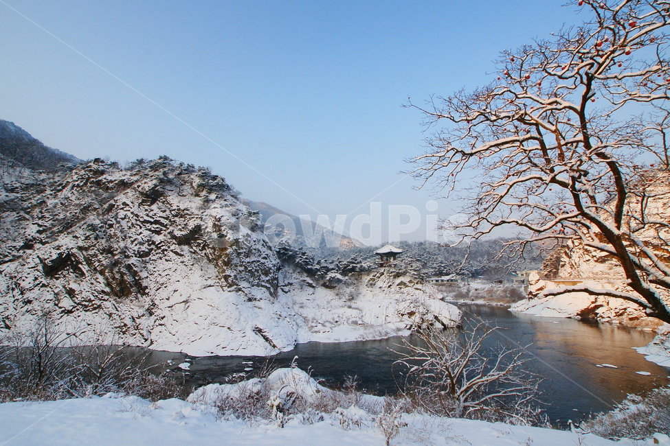 월류봉,영동군,풍경,설경,겨울,황간,초당천,겨울,계절,winter,season,자연,풍경,nature,landscape,한국자연풍경,한국자연경관,korea nature landscape,ice,빙,outdoors,옥외,snow,눈