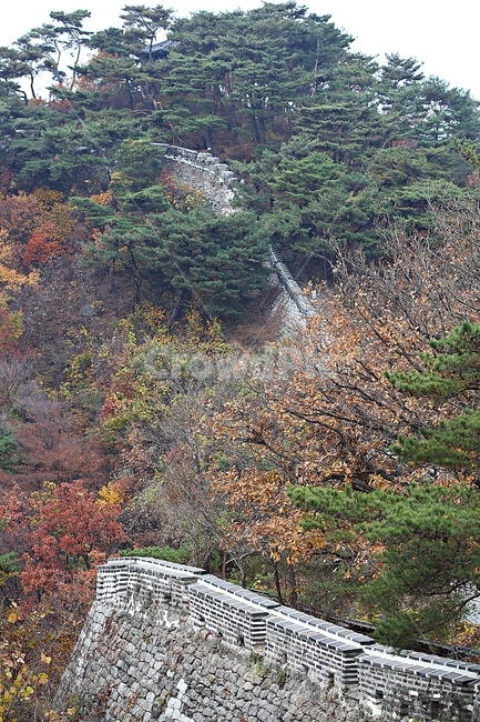 남한산성,성,성곽,단풍,낙엽,길,둘레길,숲,숲길,담,돌담,가을,자연,풍경,벽,울긋불긋,산성,식물,가을,계절,fall,autumn,season