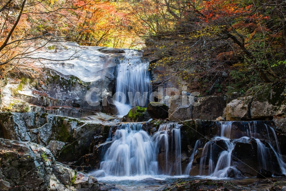 가을,폭포,산,여행,단풍,은행,풍경,가을,계절,fall,autumn,season,자연,풍경,nature,landscape,한국자연풍경,한국자연경관,korea nature landscape,river,강,outdoors,옥외,water,물,waterfall