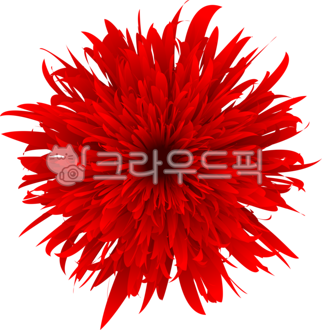 꽃,붉은꽃,국화,빨강,카네이션