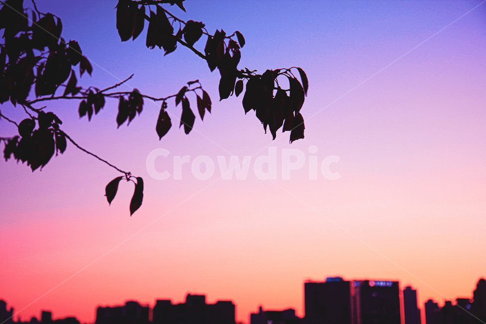 silhouette,실루엣,하늘,일몰,sunset,sky,도시,풍경,city,landscape,실루엣,그림자,silhouette,shadow,색깔,색상,색채,색감,color sense,color sensitivity,feeling of color
