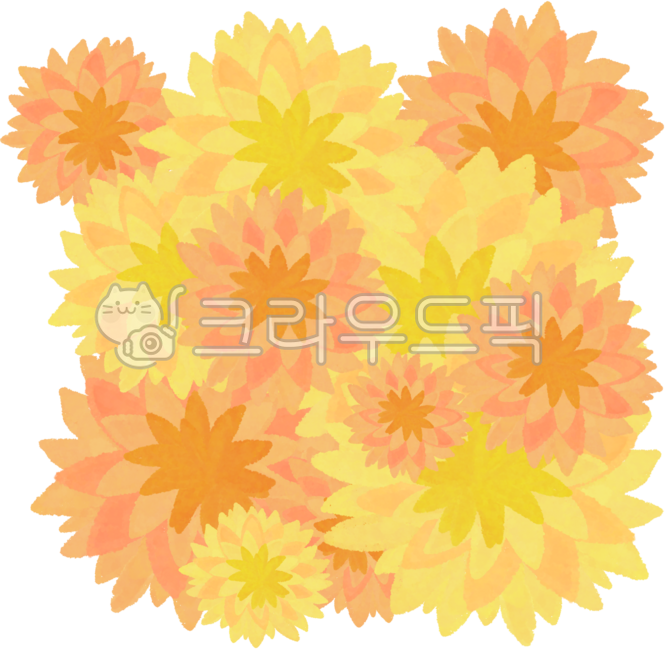 Chrysanthemum,autumn chrysanthemum,chrysanthemum flower,yellow chrysanthemum,autumn