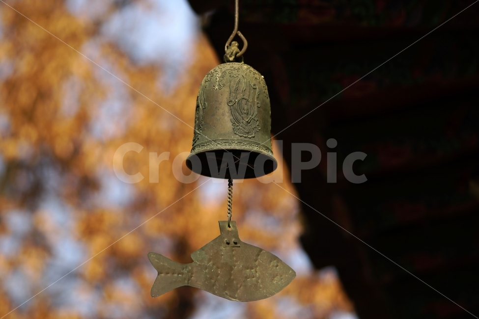 풍경,종,잉어,절,사찰,불교,종교,한국,전통,역사,문화재,문화,한옥,지붕,처마,종소리,신앙,부처,소망,소원,temple,Buddhism,buddha,석가모니,고타마싯다르타,korea,한국적인,한국적,한국문화,유적,유적지,한국전통,감성사진,감성,힐링,힐링사진,스냅,스냅사진,스넵사진,스넵,snap,사물,물건,오브젝트,object,컨셉,콘셉,concept,믿음,기도,한국전통,한국문화,korean traditional,korean culture