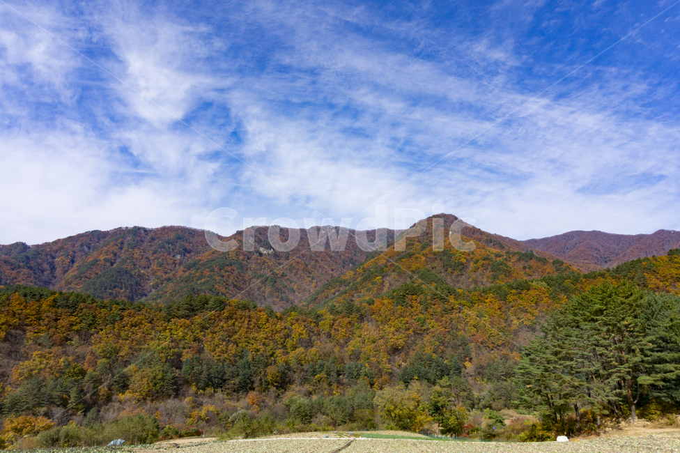 풍경,자연,설악산,단풍,권금성,속초,강원도,정상,경관,장관,산,나무,봉우리,능선,전망,가을,등산,국립공원,명소,바위,하늘,경치,고산지대,협곡,울산바위,야외