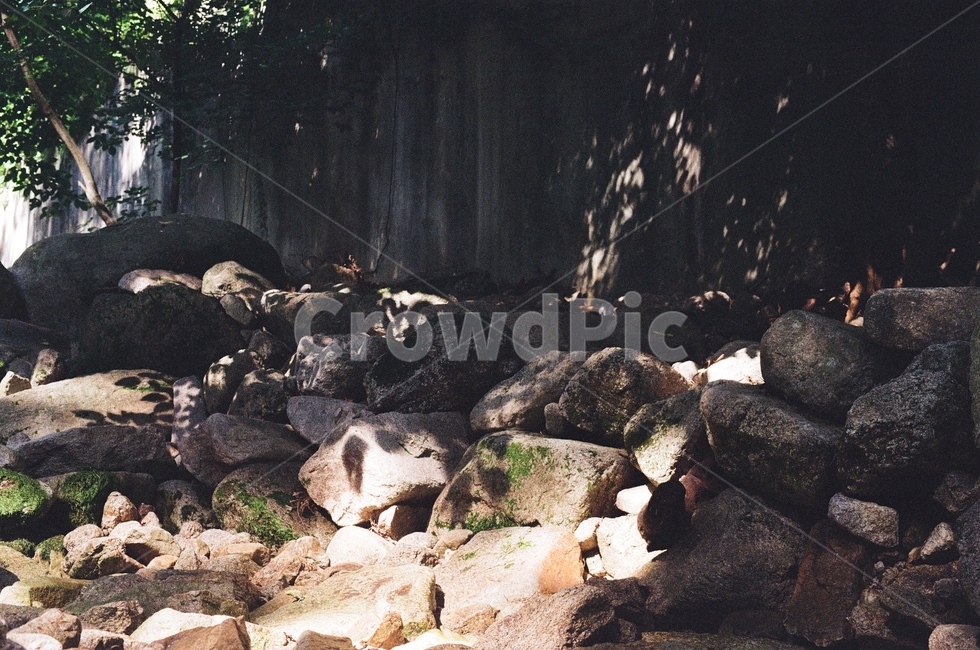 자연,나무,햇살,풀,초록,휴식,nature,rock,sunlight,sunshine