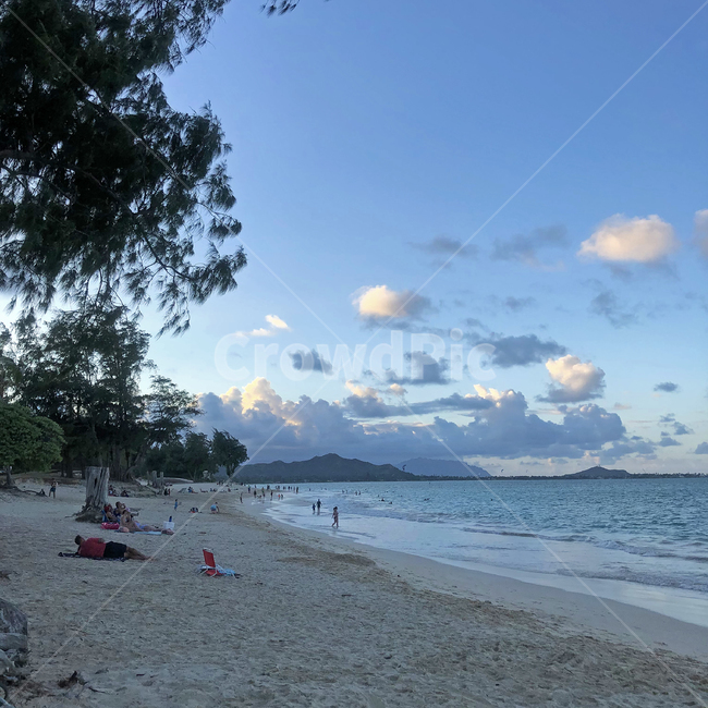 바다,해변,여름,summer,ocean,sea,여름휴가,휴가,하와이,hawaii