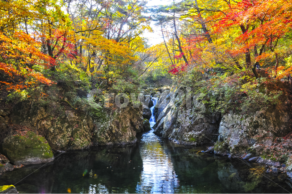 단풍,가을,치악산,계곡,나무,산행,가을,계절,fall,autumn,season,자연,풍경,nature,landscape,한국자연풍경,한국자연경관,korea nature landscape,water,물,outdoors,옥외,stream,흐름,creek,작은 만