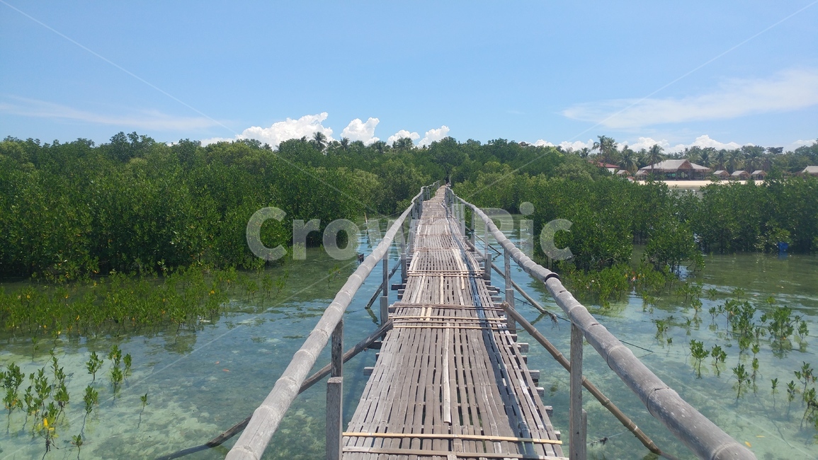 다리,자연,필리핀,동남아,바다,자연,풍경,nature,landscape,building,건물,boardwalk,산책로,bridge