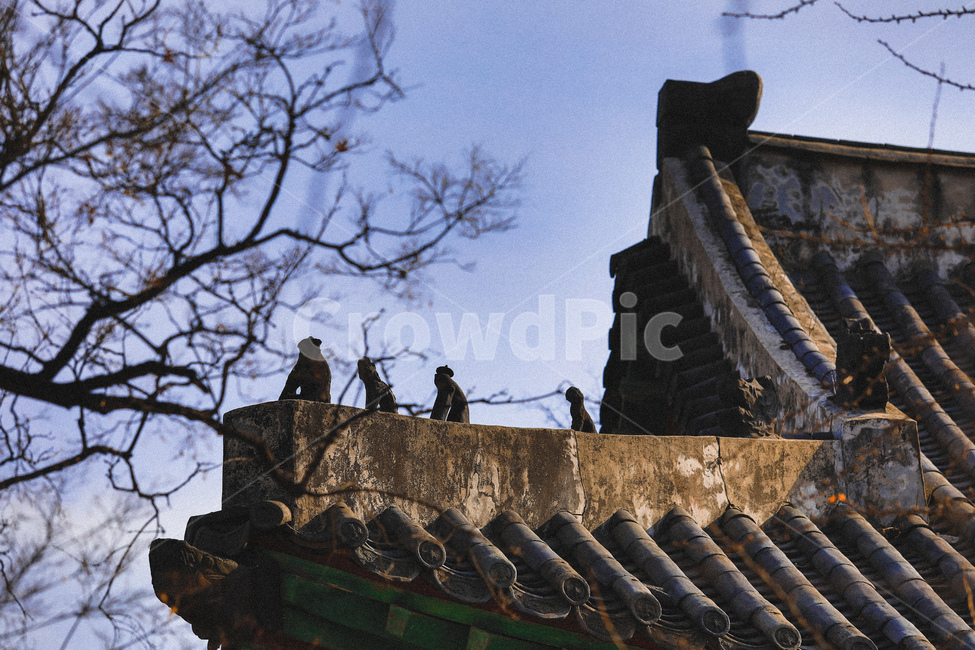 한옥,건축,전통,하늘,문화재,한국전통,한국문화,korean traditional,korean culture,건축물,건물외관,exterior,building,structure,architecture,construction