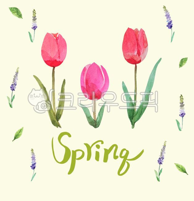 Flowers,tulips,spring flowers,watercolor,illustration,spring illustration,spring flower illustration,calligraphy,spring calligraphy,spring greetings,greeting card,petals,nature,background,plants,spring,watercolor illustration,calli,flowe