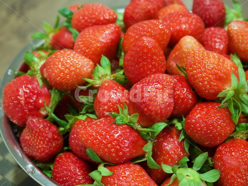 신선한딸기,녹색,흰색,한국딸기,빨간색,유기농,유기농딸기,배경,strawberry,딸기,food,식품,fruit,과일,음식,식재료,요리,food,cook,meal,dishes,food reserves,과일,열매,fruit,채소,야채,vegetables