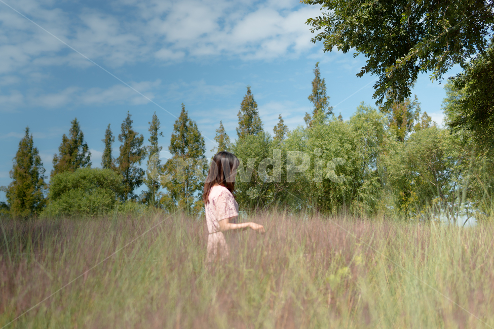 plant,식물,핑크뮬리,pink,옆모습,human,인간,person,nature,자연,가을,풀숲