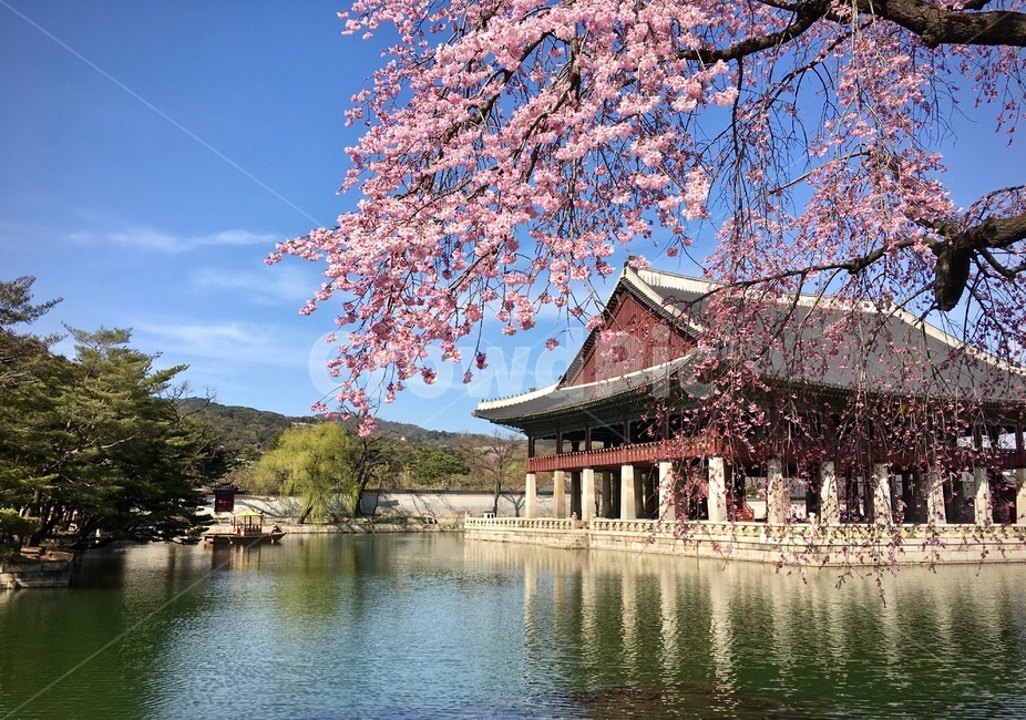 경복궁,경회루,고궁,고궁나들이,경복궁나들이,봄나들이