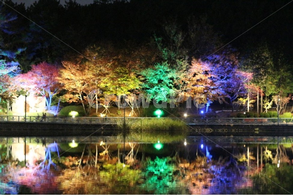 야경,풍경,불빛,반영,가을밤,자연,풍경,nature,landscape,야경,밤,nightscape,night,water,물,outdoors,옥외