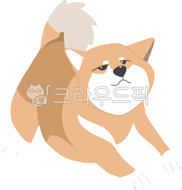 강아지,멍멍이,동물,반려견,사랑스러운강아지